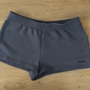 Aritzia Women's Charcoal Athletic Shorts